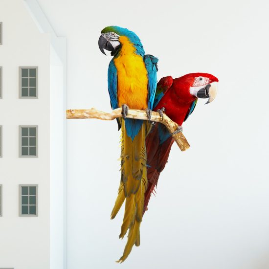 muursticker-papegaai-blauw-geel-ara