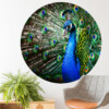 muurcirkel dier pauw vogel accessoires blauw muurdecoratie wanddecoratie inspiratie ideeen accessoires