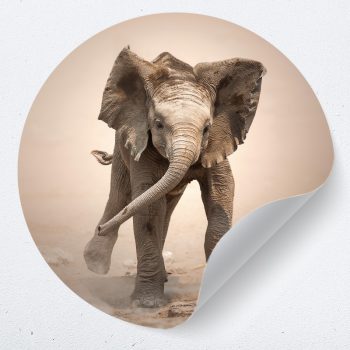 muurcirkel muursticker behangcirkel muurdecoratie kinderkamer babykamer olifant