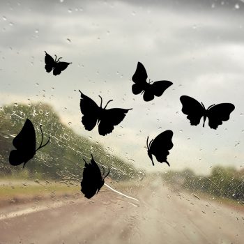 Muursticker vlinder vlinders raamsticker tuin inspiratie ideeën